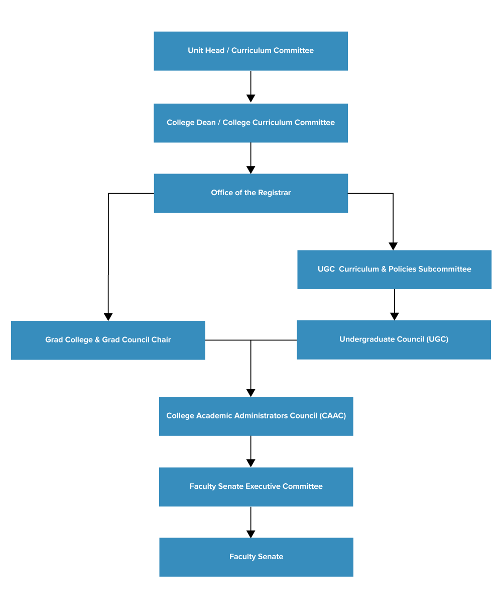 Academic Approval Process flowchart - refer to description of process below this graphic