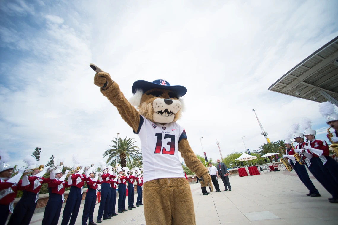 Wilbur Wildcat pointing at the sky 